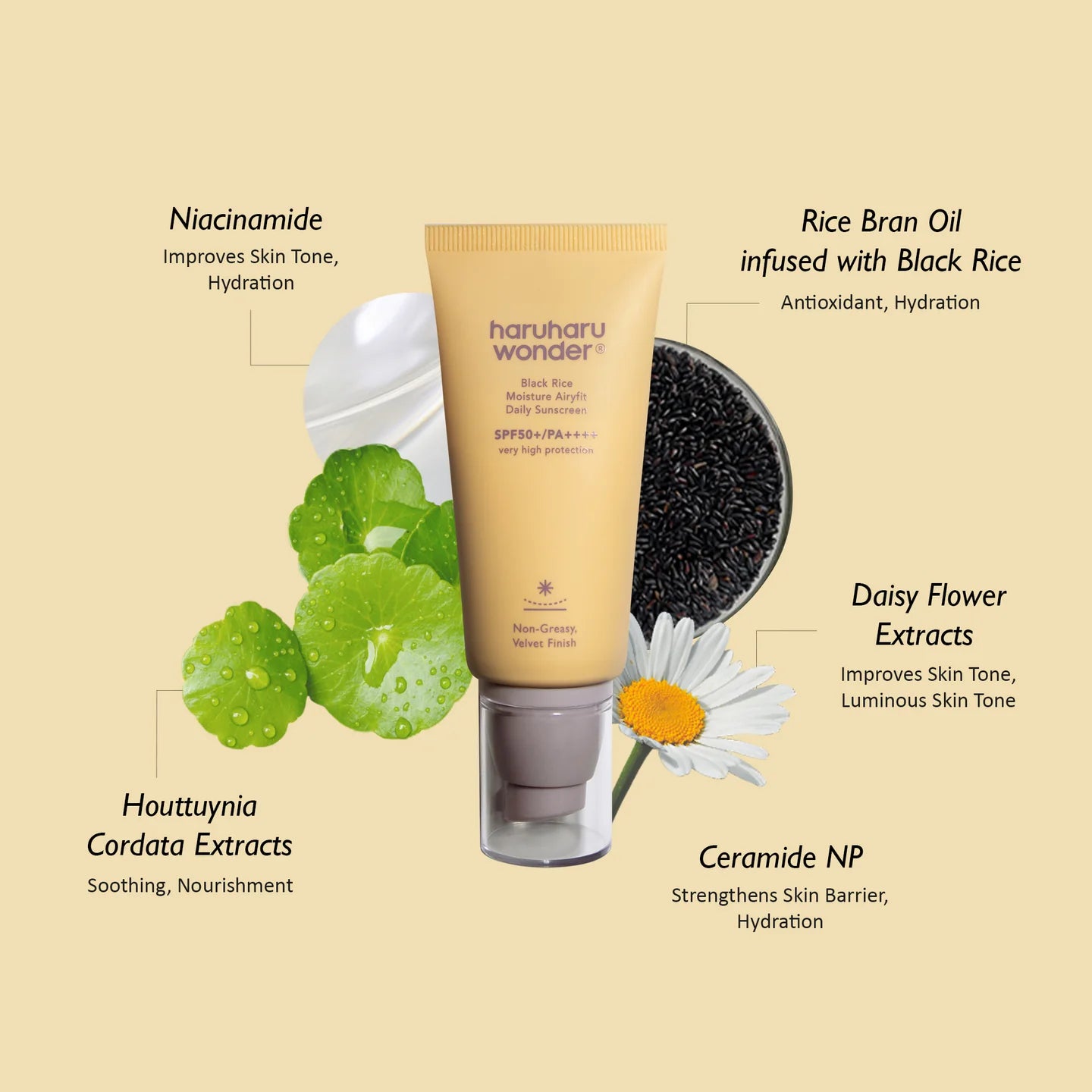 haruharu wonder - Black Rice Moisture Airyfit Sunscreen SPF50+/PA++++ / Unscented
